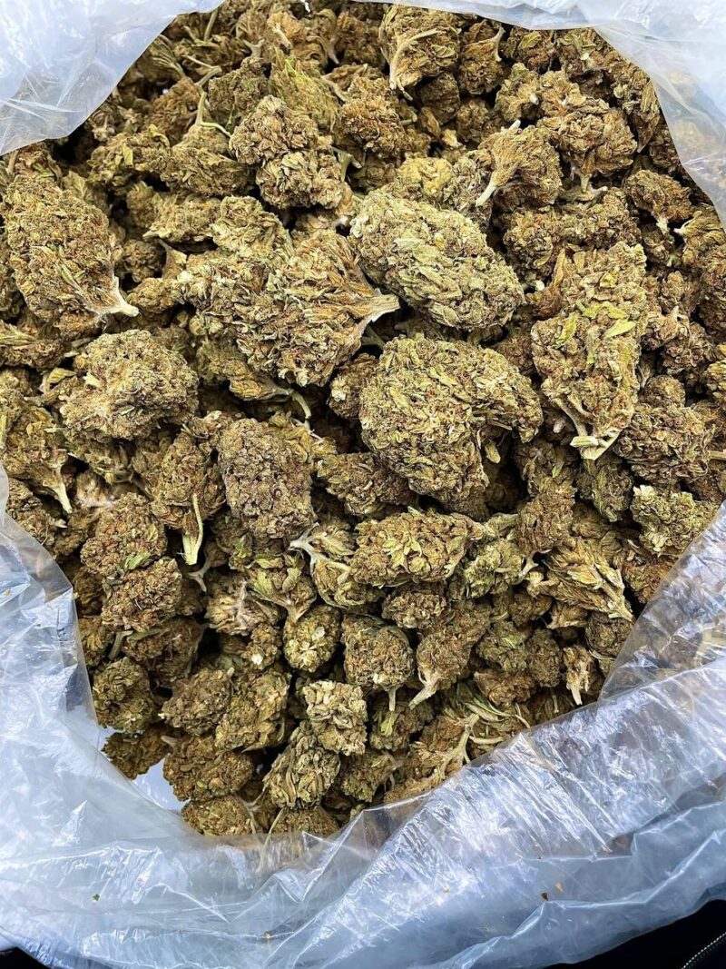 Buy Twilight Berry Haze Online at Ganja Deals