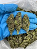 Funfetti Poprocks - Flower > Flower - Mids | Ganja Deals