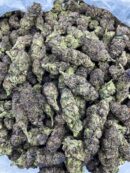 Purple Nerdz