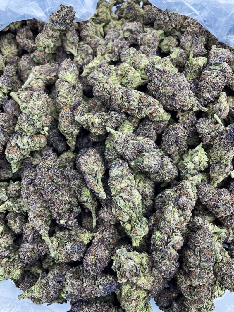 Purple Nerdz - Image 2