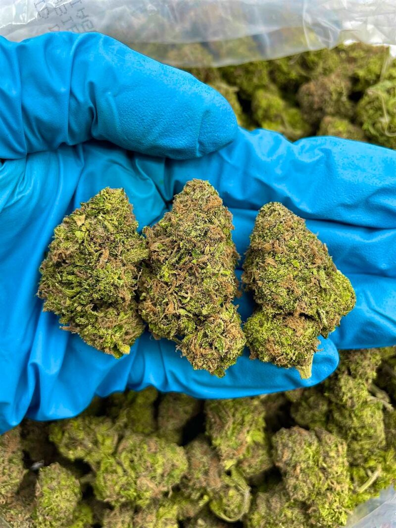 Berry Fuel - Flower > Indoor - Mids | Ganja Deals