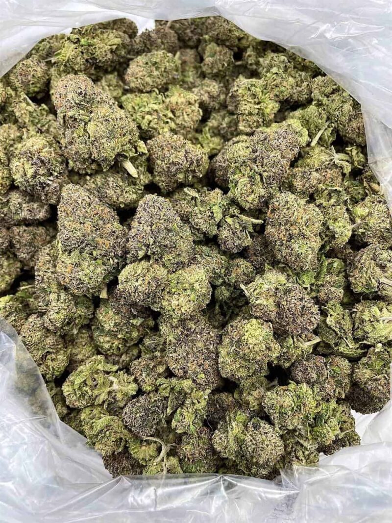 Buy Frosted Venom Online at Ganja Deals