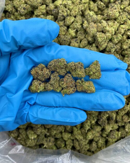 Candy Krush Kush