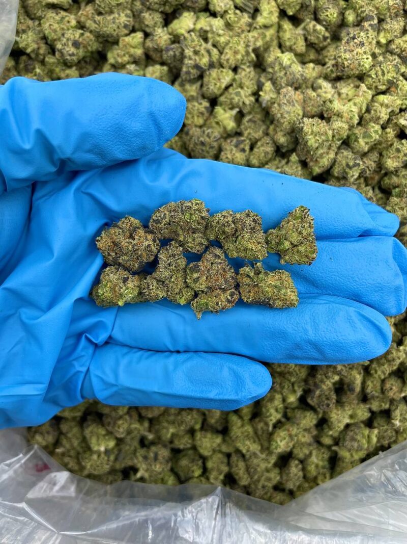 Candy Krush Kush