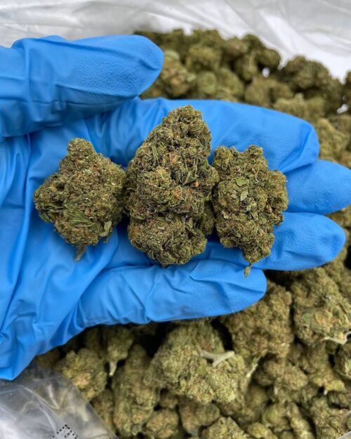 Caramel Drop - Flower > Flower - Mids | Ganja Deals