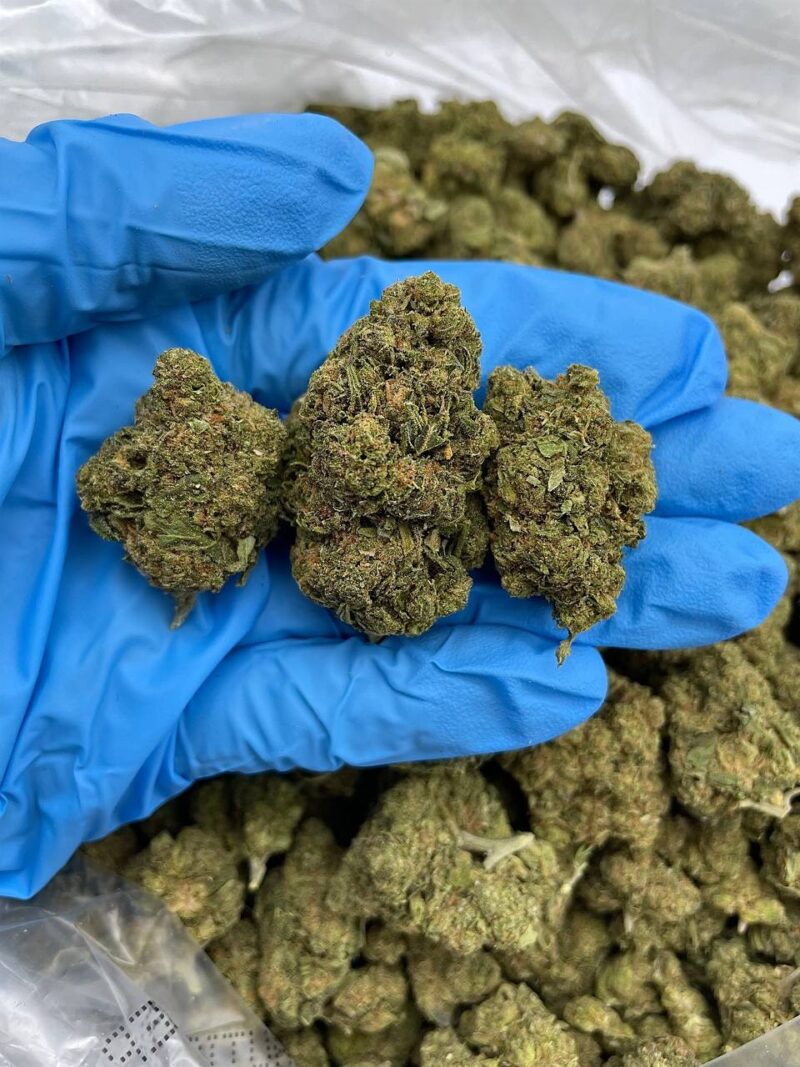Caramel Drop - Flower > Flower - Mids | Ganja Deals