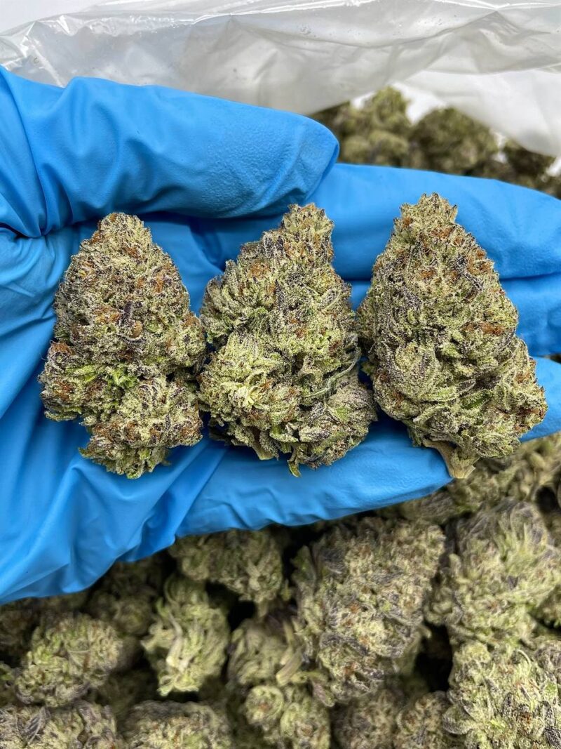 Cherry Truffle - Flower > Flower - Mids | Ganja Deals