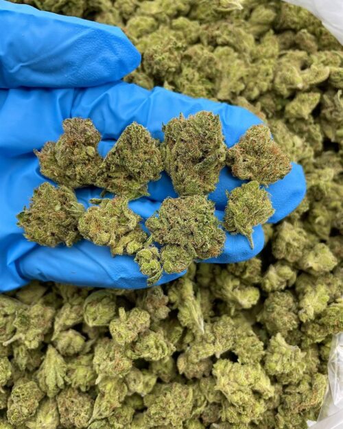 White Walker - Flower > Indoor - Mids | Ganja Deals