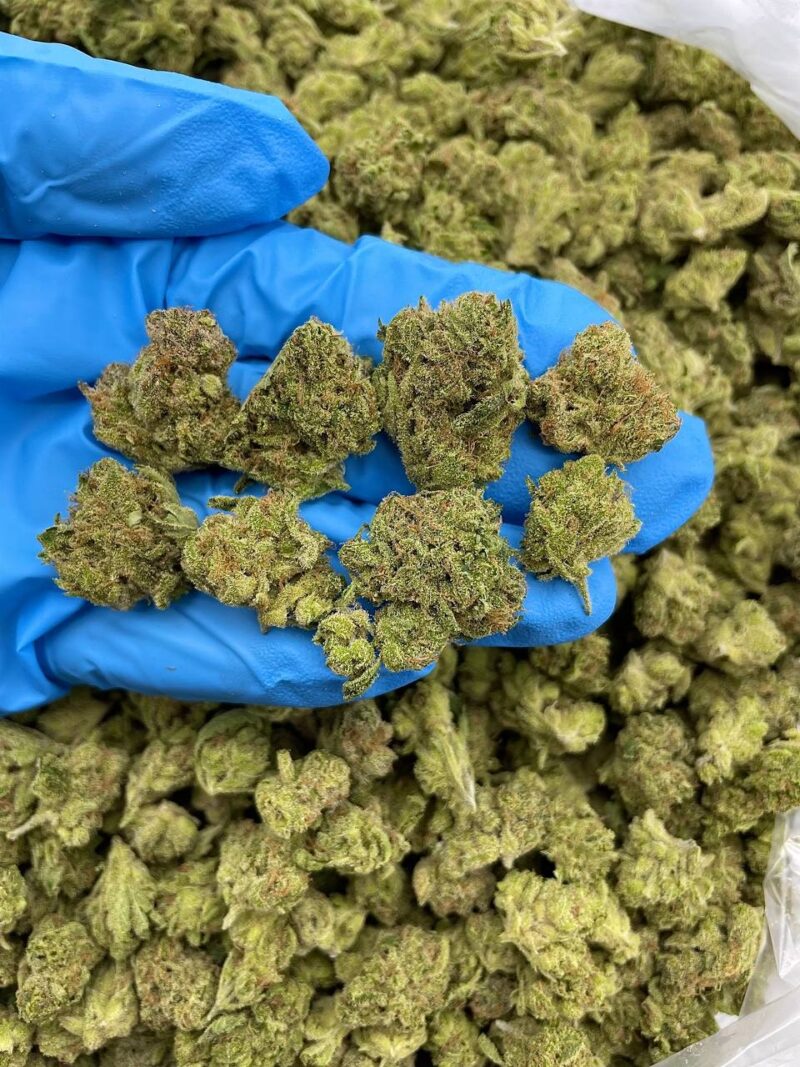 White Walker - Flower > Indoor - Mids | Ganja Deals