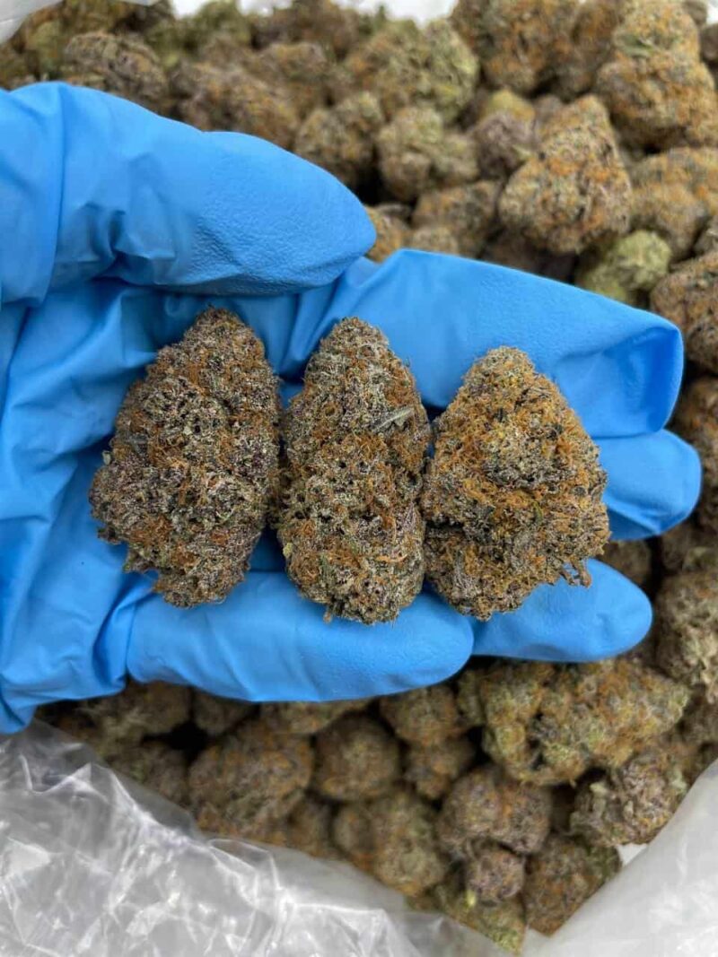 Velvet Thunder - Flower > Flower - Mids | Ganja Deals