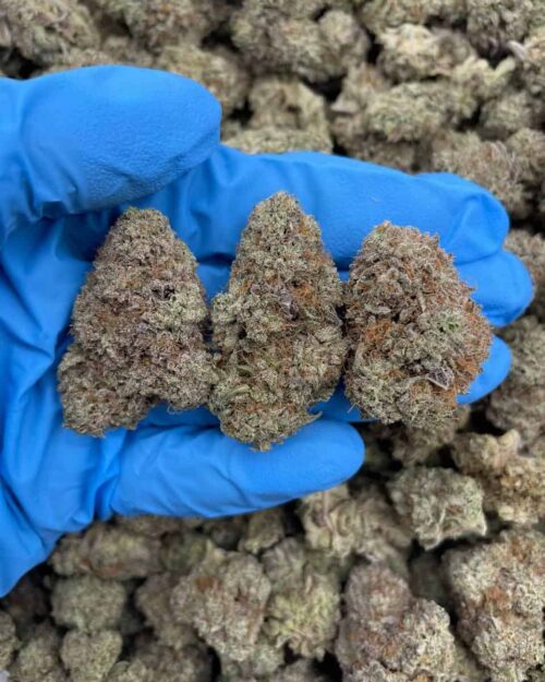 Banana Cloud - Flower > Flower - Highs | Ganja Deals