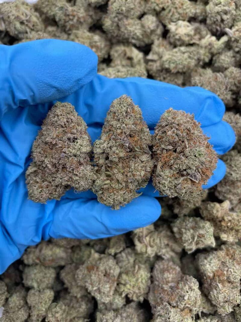 Banana Cloud - Flower > Flower - Highs | Ganja Deals