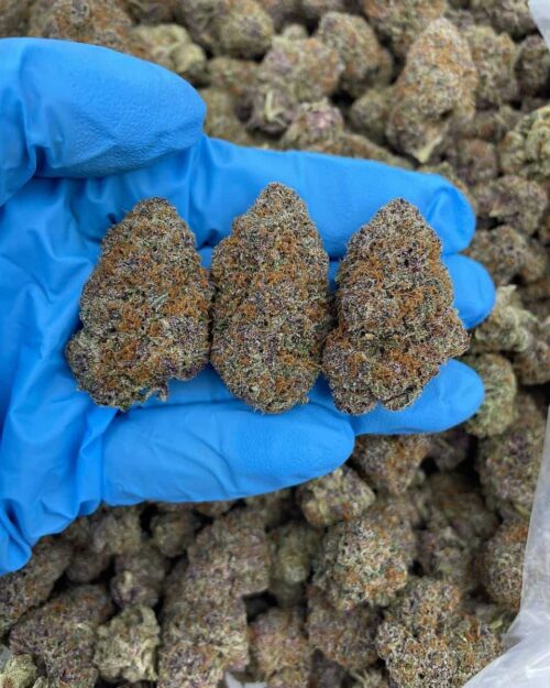 Strawberry Bang - Flower > Flower - Highs | Ganja Deals