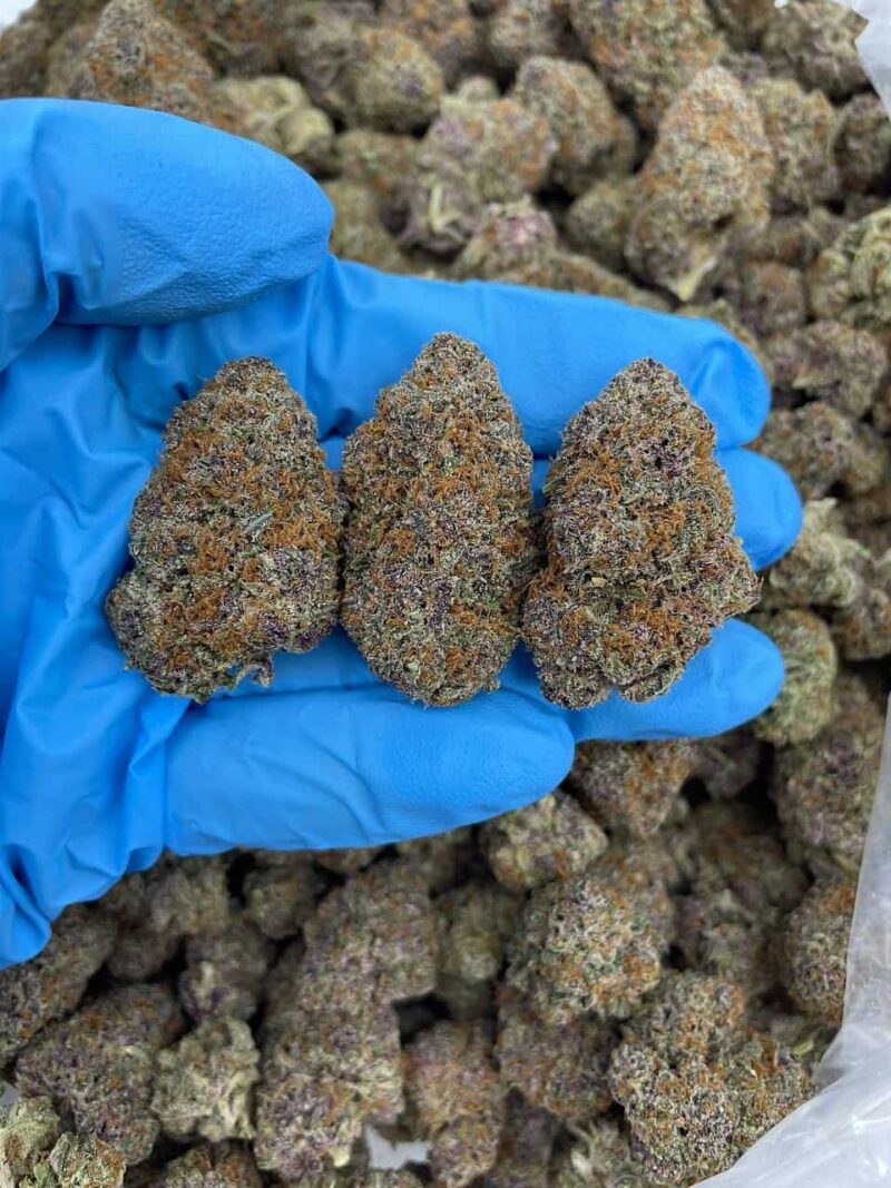 Strawberry Bang - Flower > Flower - Highs | Ganja Deals