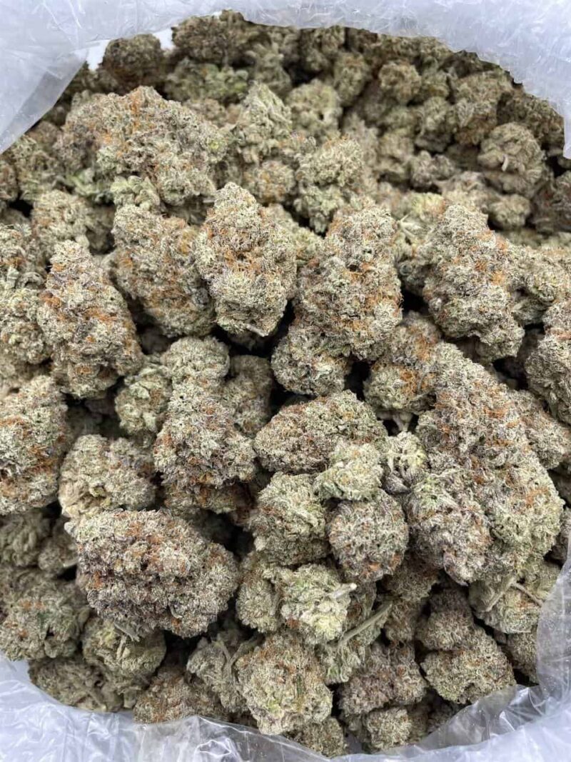 Buy Blackberry Jack Online at Ganja Deals