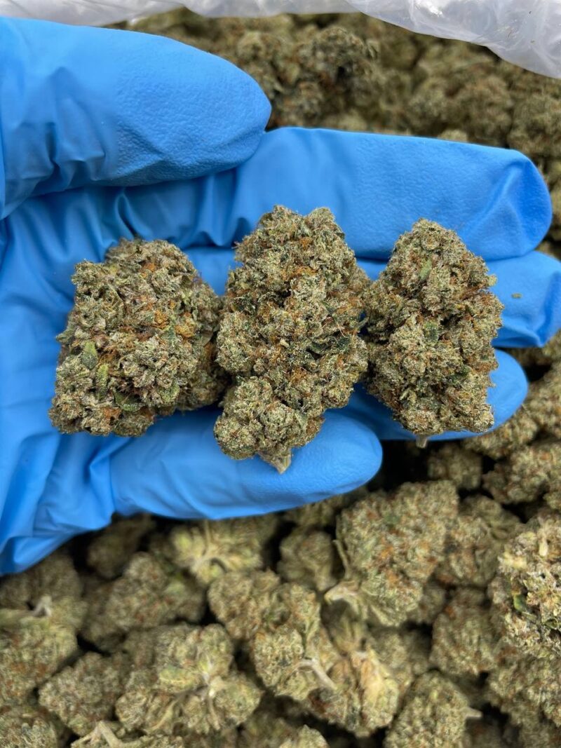 Space Walker OG - Flower > Flower - Mids | Ganja Deals