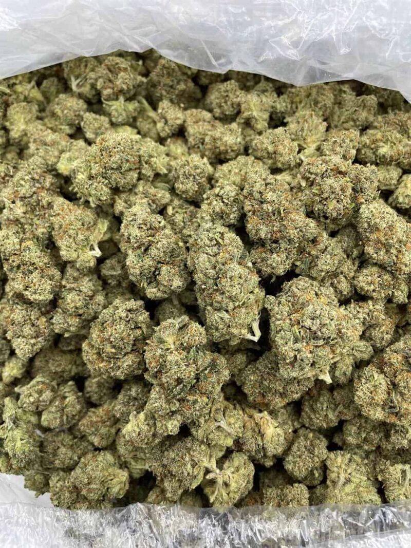 Buy Space Walker OG Online at Ganja Deals
