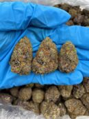 Jungle Berry Runtz - Flower > Flower - Mids | Ganja Deals
