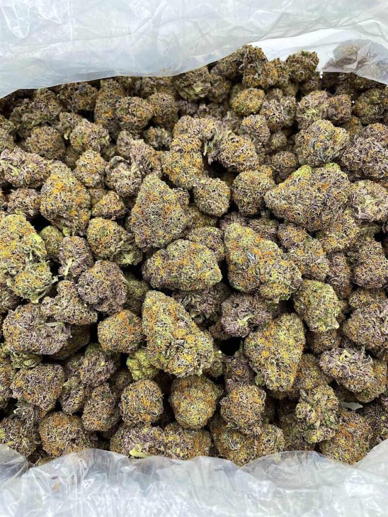 Buy Jungle Berry Runtz Online at Ganja Deals