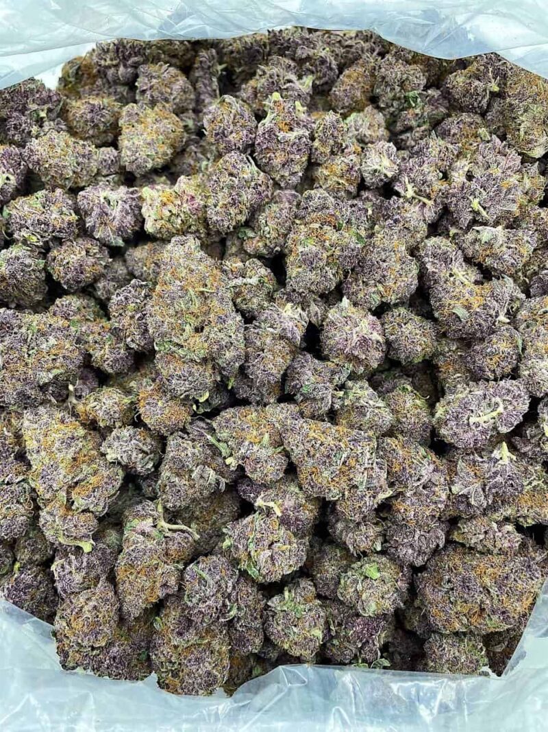 Buy Sour Citrus Fuel Online at Ganja Deals