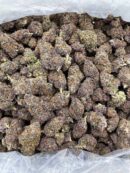 Buy Glacier Punch Online at Ganja Deals