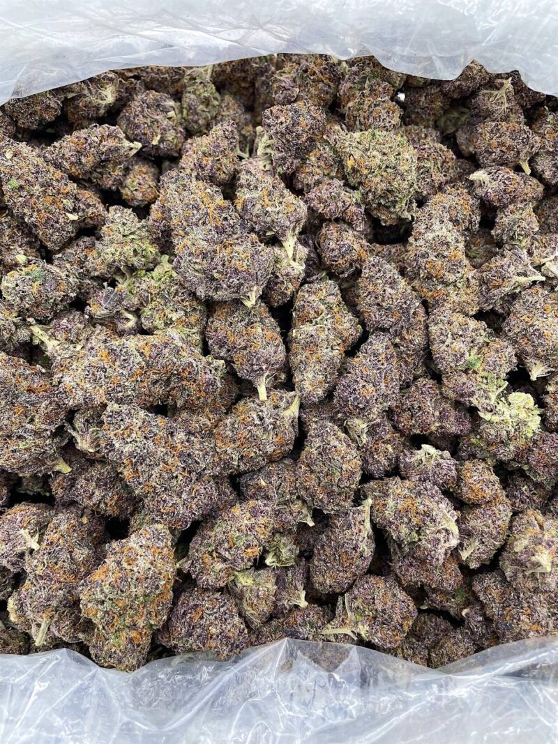 Buy Glacier Punch Online at Ganja Deals