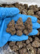 Planet of the Grapes - Flower > Flower - Mids | Ganja Deals