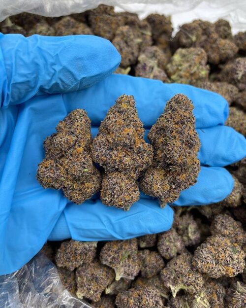 Planet of the Grapes - Flower > Flower - Mids | Ganja Deals