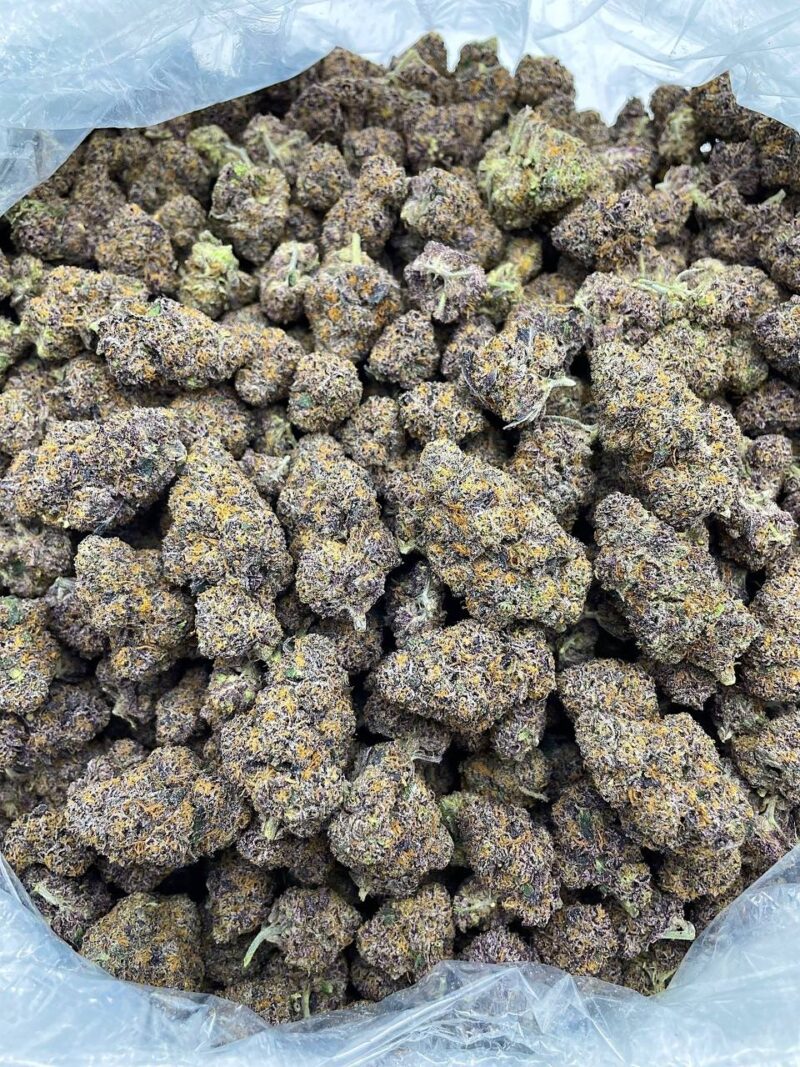 Buy Planet of the Grapes Online at Ganja Deals