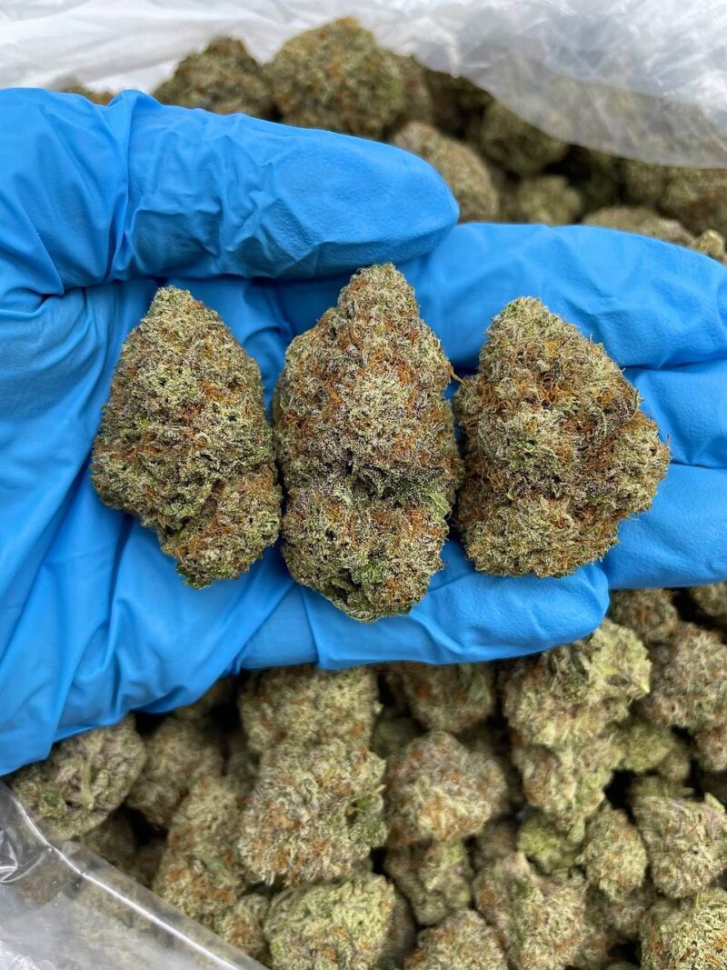 Space Glue - Flower > Indoor - Mids | Ganja Deals