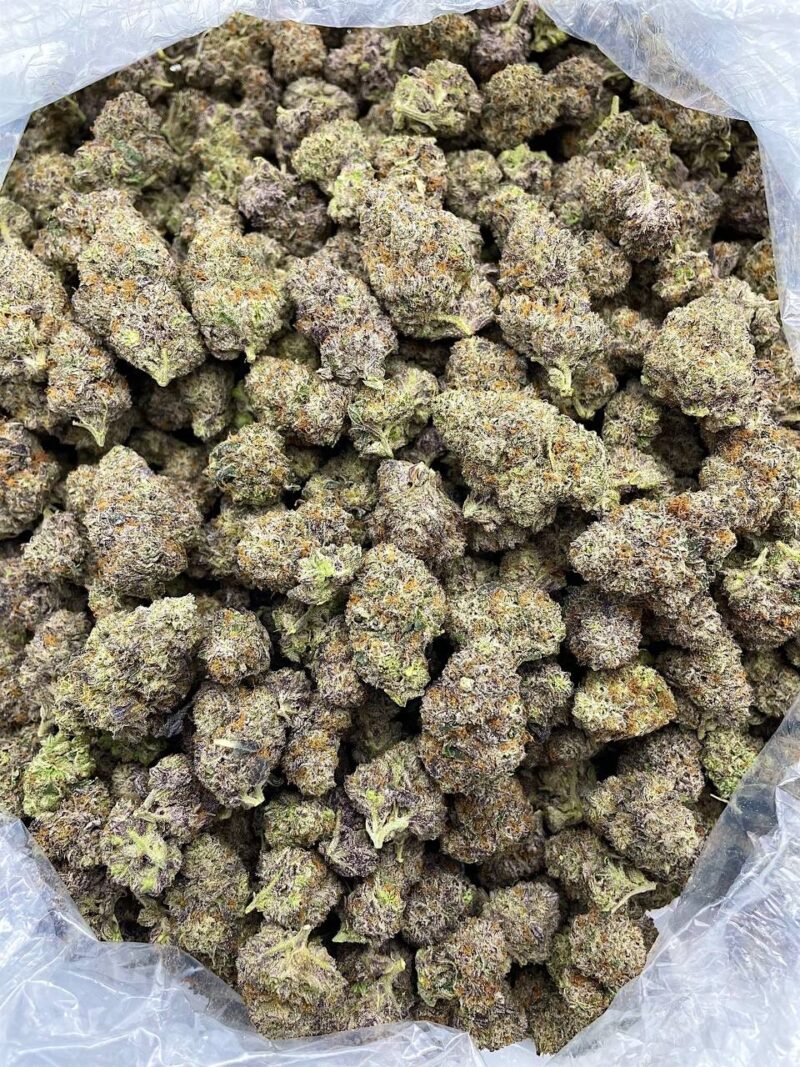 Buy Snake Venom Online at Ganja Deals