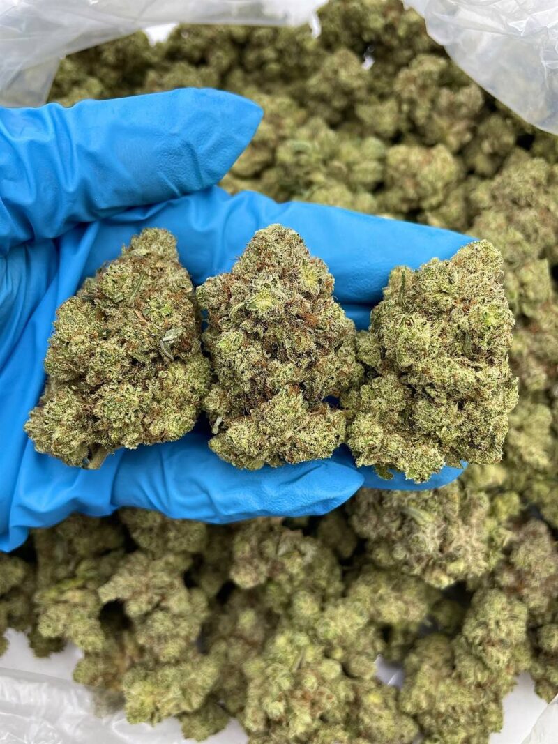 Apple Tart Frost - Flower > Flower - Mids | Ganja Deals