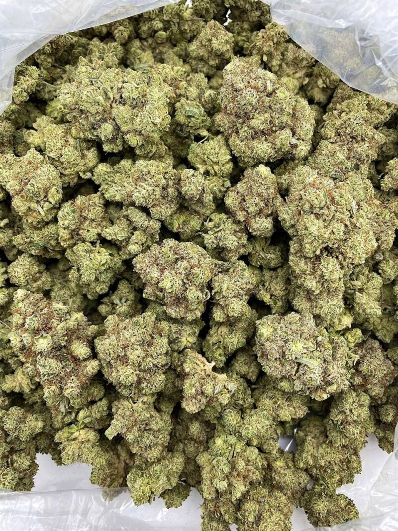 Buy Apple Tart Frost Online at Ganja Deals