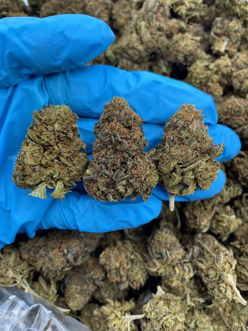 Mellow Dream - Flower > Flower - Mids | Ganja Deals