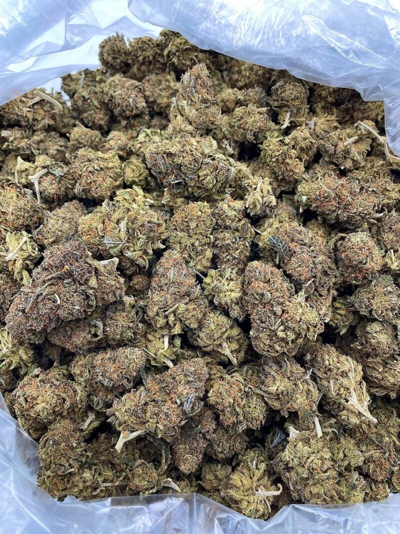 Buy Mellow Dream Online at Ganja Deals
