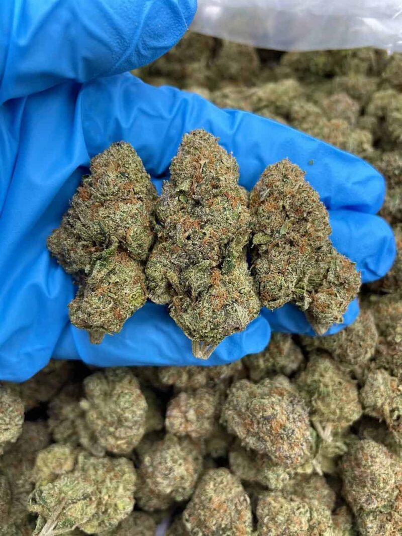 King's Cough OG - Flower > Flower - Mids | Ganja Deals