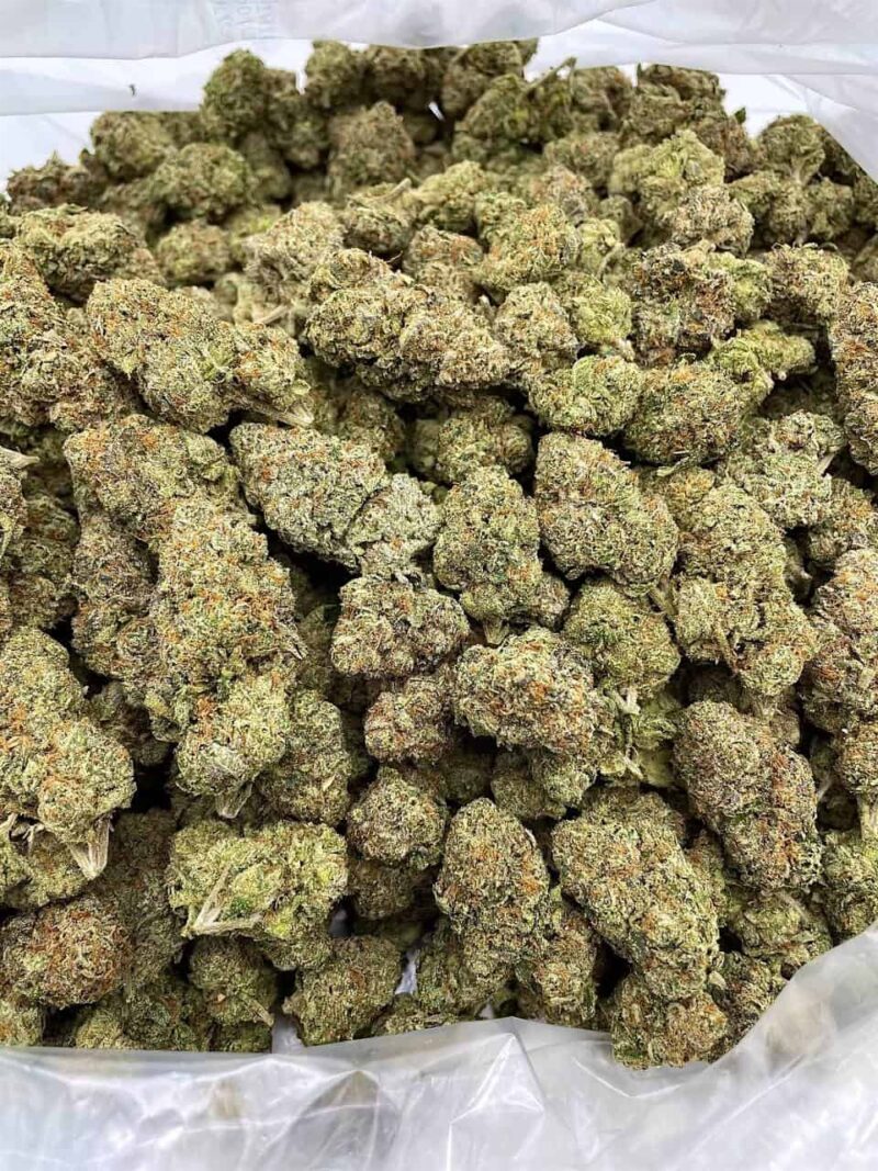 Buy King's Cough OG Online at Ganja Deals