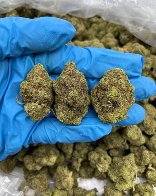 Night Fuel OG - Flower > Flower - Mids | Ganja Deals