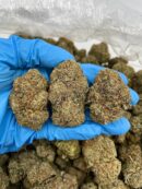 Jolly Rancher Haze - Flower > Flower - Mids | Ganja Deals