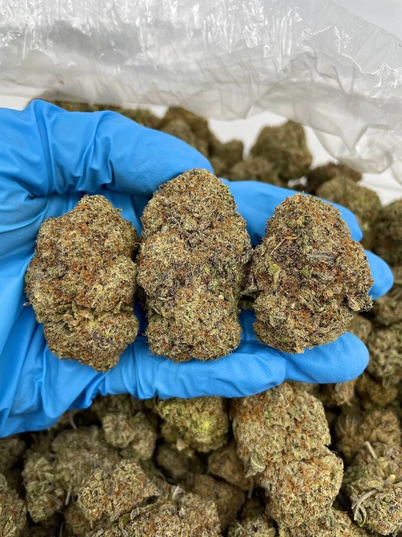 Jolly Rancher Haze - Flower > Flower - Mids | Ganja Deals