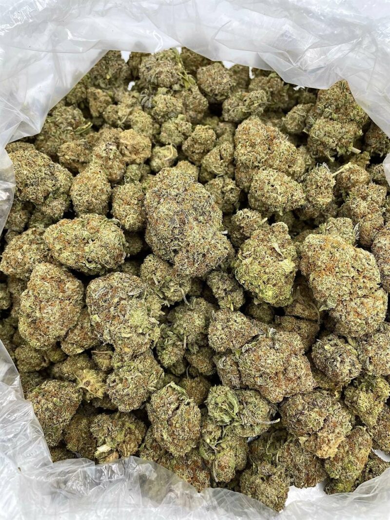 Buy Jolly Rancher Haze Online at Ganja Deals