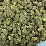 Gelato Dream