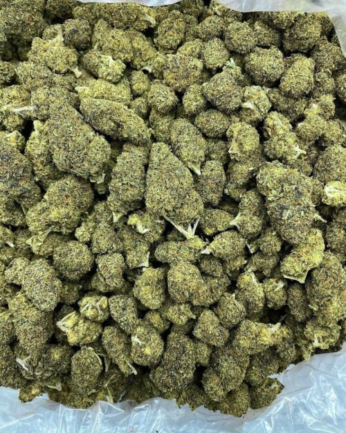 Buy Gelato Dream Online at Ganja Deals