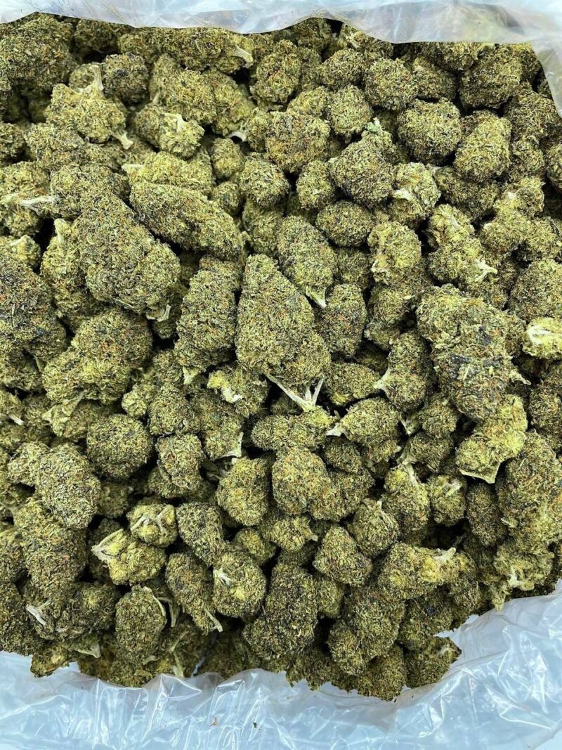 Buy Gelato Dream Online at Ganja Deals