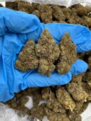 Lavendar Purpz - Flower > Flower - Lows | Ganja Deals