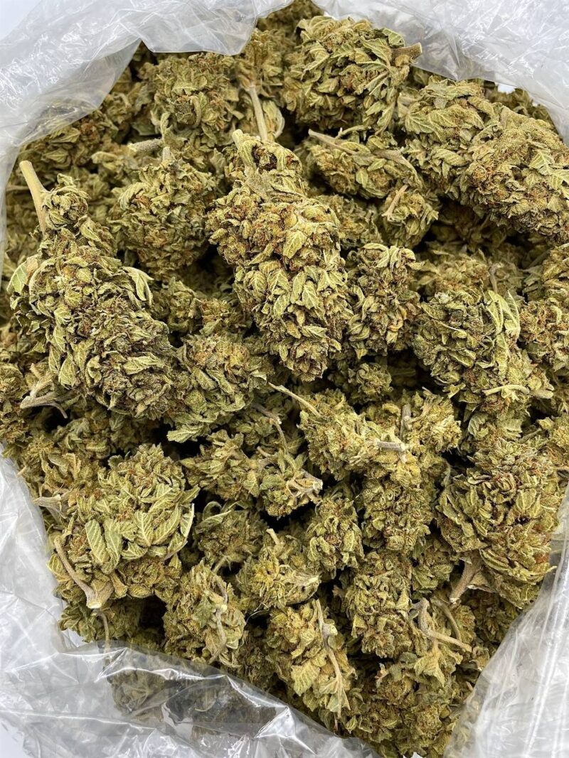 Buy Green Haze Online at Ganja Deals