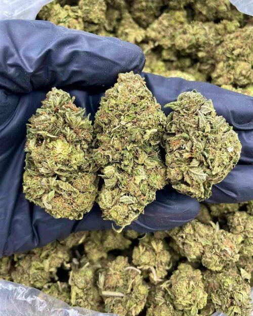Peach Cobbler - Flower > Flower - Mids | Ganja Deals