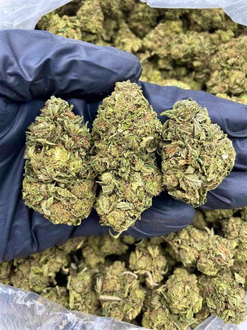 Peach Cobbler - Flower > Flower - Mids | Ganja Deals