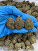 Double Oreo Haze - Flower > Flower - Mids | Ganja Deals
