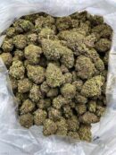 Buy Double Oreo Haze Online at Ganja Deals